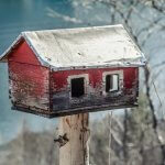 משפצים את הבית משפצים את הבית