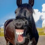 6 מצבים בהם הומור שחור הוא התרופה