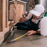 החשיבות הרבה של שירותי הדברה החשיבות הרבה של שירותי הדברה